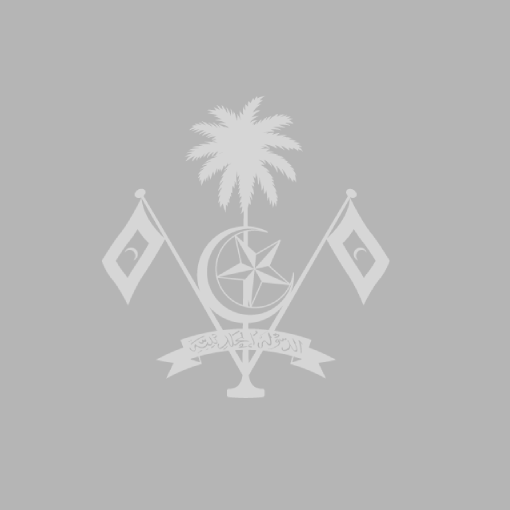 publication icon