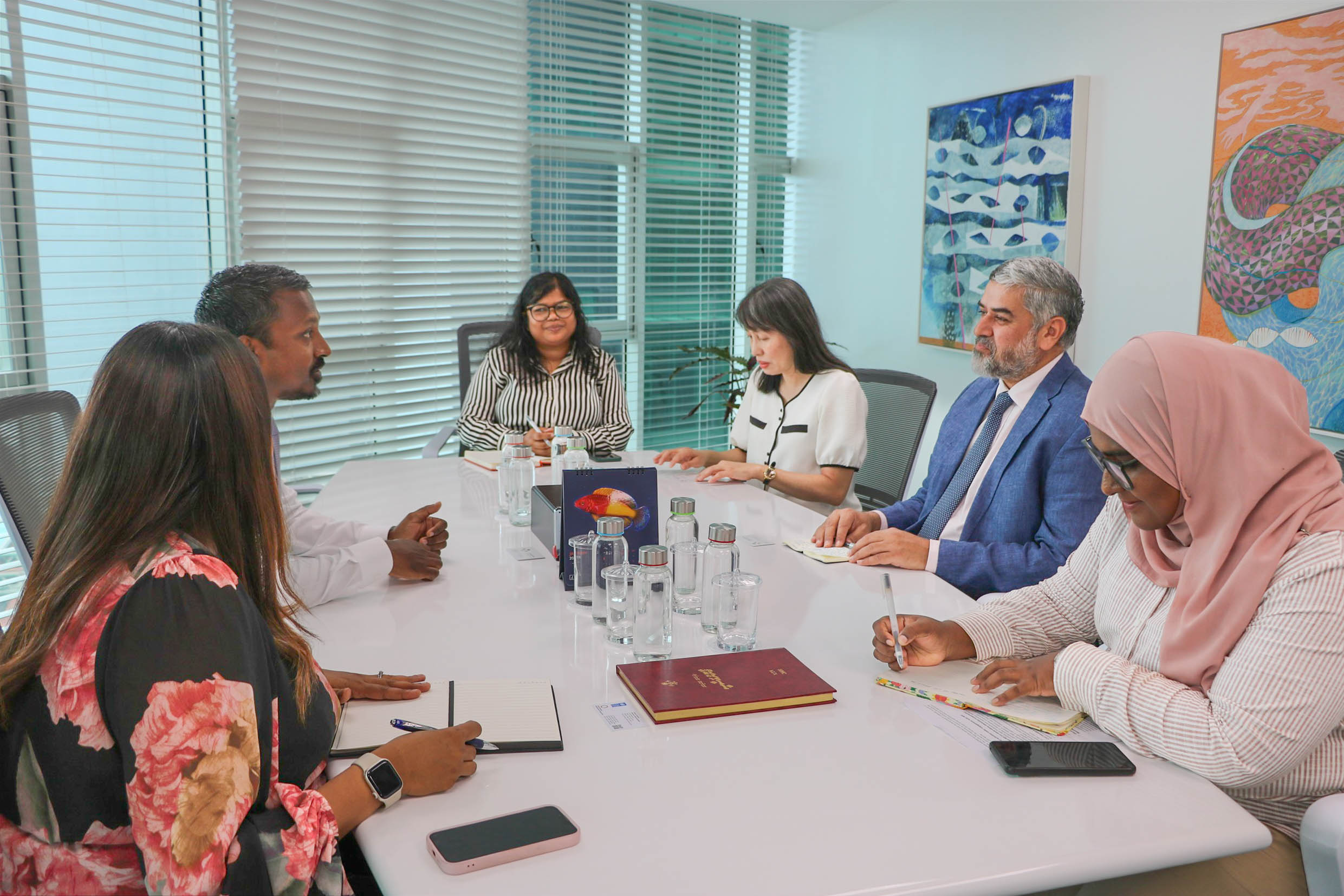 ބަންޑާރަނައިބު އުޝާމް، ޔޫ.އެން.ޑީ.ޕީގެ ރެސިޑެންޓް ރެޕްރެޒެންޓެޓިވް އަދުނާން ޗީމާއާ  ބައްދަލުކުރައްވައިފި